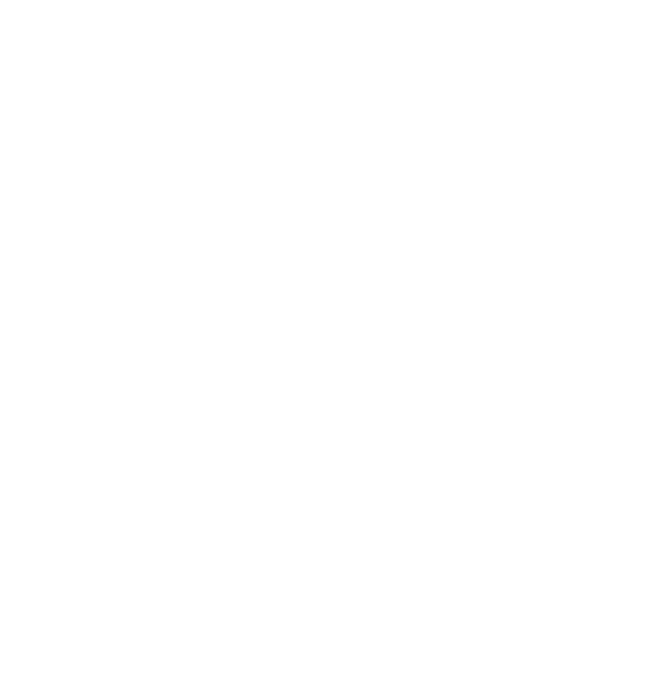 leadoo logo